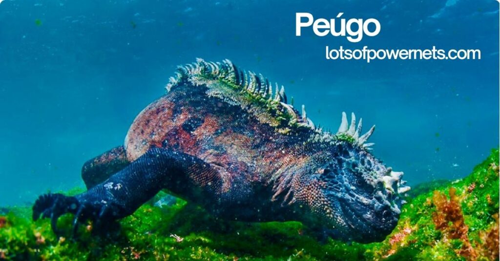 Peúgo