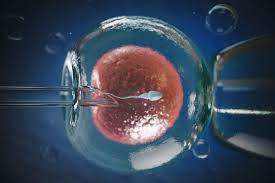 How to Cope with IVF Cycle Delays and Uncertainty