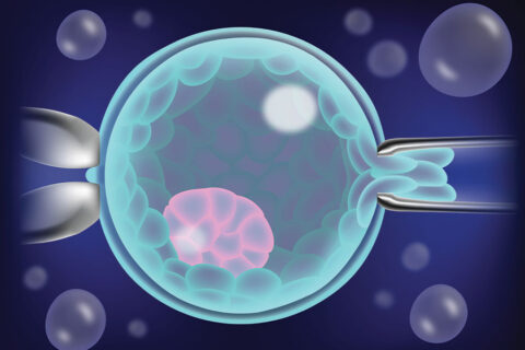 What’s Involved in IVF Treatments?